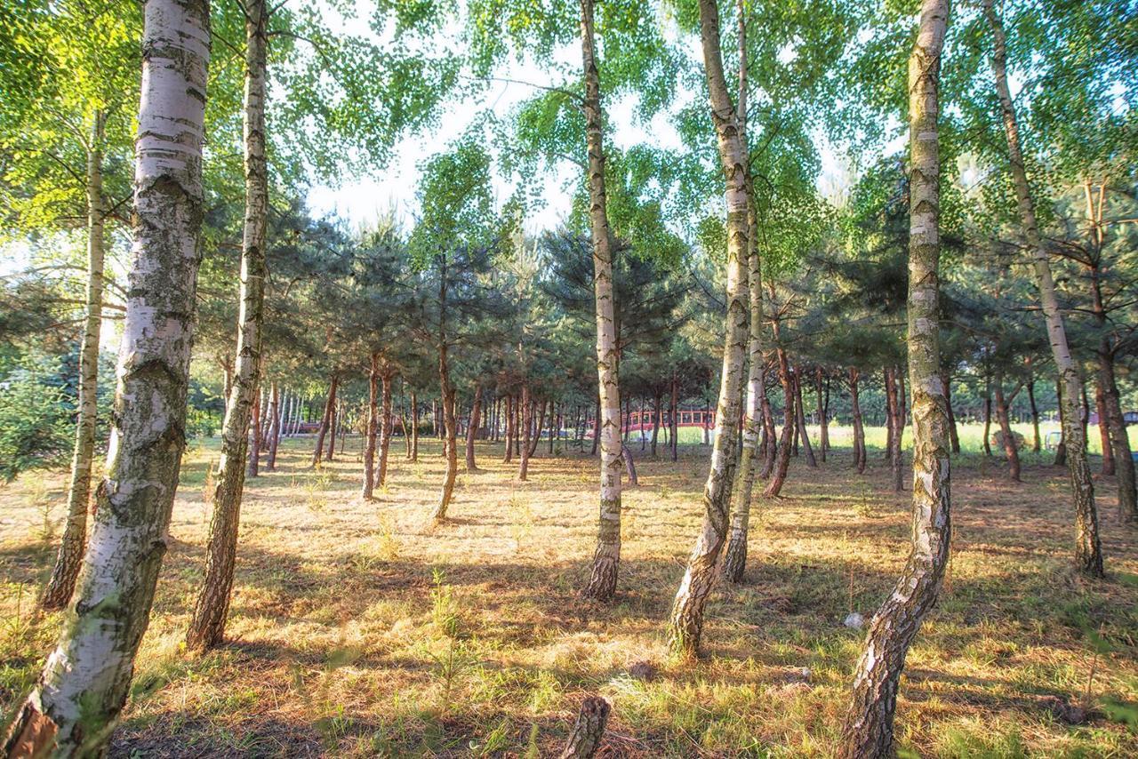 Rezydencja Elzbiecin Busko Zdroj Exterior photo
